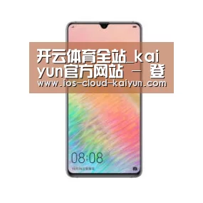 华为HUAWEI NOTE 8