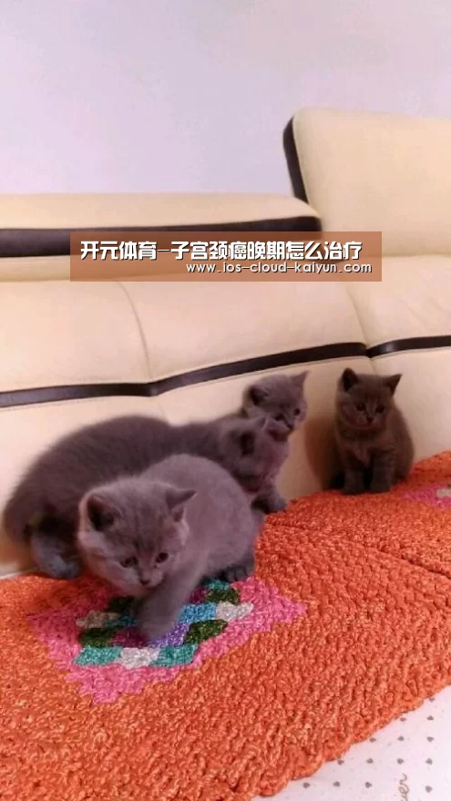 开元体育