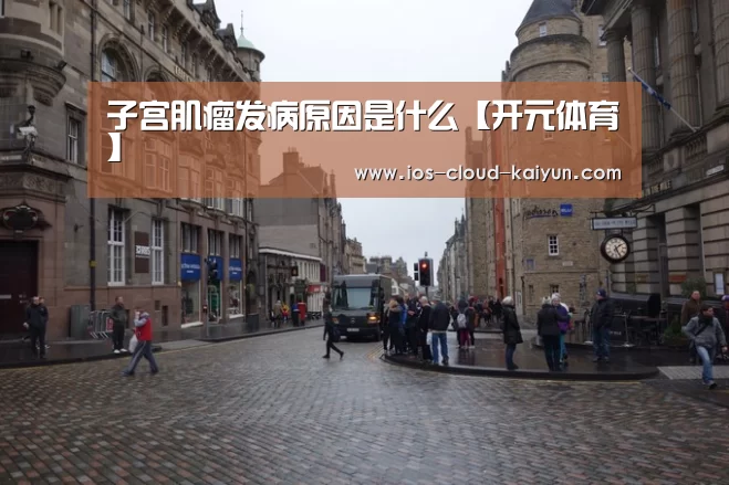 子宫肌瘤发病原因是什么【开元体育】(图1) 开云体育网站